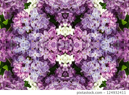 Symmetrical lilac bloom kaleidoscope pattern showcasing purple and white flowers 124932411