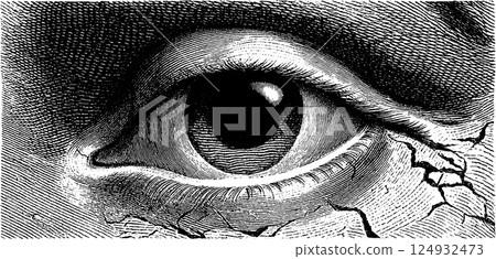 Vintage engraving of human eye with intricate line details and cracked texture Vintage engraving of human eye with intricate line details and cracked texture 124932473