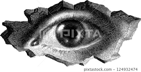Detailed vintage engraving of an eye in black and white design 124932474