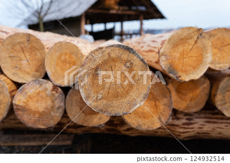 Close-up view of freshly cut, stacked pine logs showing the wood grain and texture, outdoors near a rustic building Close-up view of freshly cut, stacked pine logs showing the wood grain and texture, outdoors near a rustic building 124932514