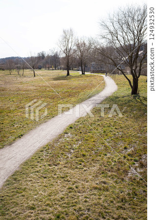 A cyclist pedals along a curving path through a tranquil, grassy field dotted with leafless trees in the early spring A cyclist pedals along a curving path through a tranquil, grassy field dotted with leafless trees in the early spring 124932530