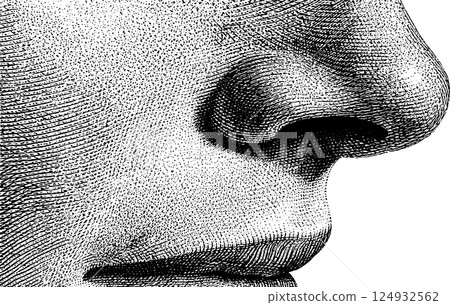 Detailed close-up of a stippled human face showing nose and mouth 124932562