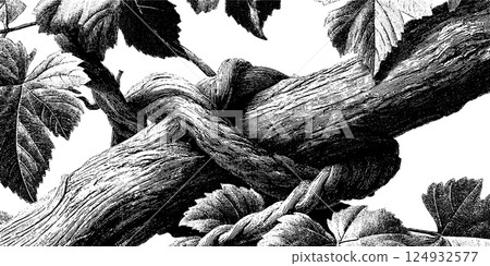 Intricate black and white illustration of woven wooden branches and leaves Intricate black and white illustration of woven wooden branches and leaves 124932577