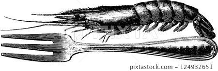 Vintage engraving of a shrimp and fork illustration Vintage engraving of a shrimp and fork illustration 124932651