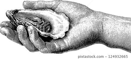 Detailed vintage illustration of hand holding an open oyster Detailed vintage illustration of hand holding an open oyster 124932665