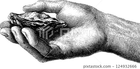 Vintage hand holding oyster - detailed black and white etching Vintage hand holding oyster - detailed black and white etching 124932666