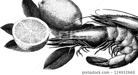Engraved lobster and lemon composition with detailed line art 124932668