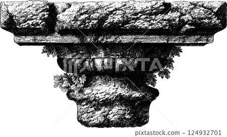 Ancient stone column capital with leafy details in black and white engraving Ancient stone column capital with leafy details in black and white engraving 124932701