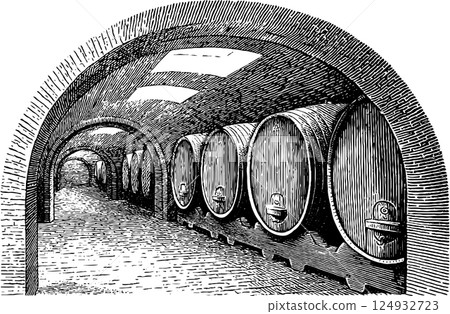 Vintage wine cellar with large wooden barrels in arched stone gallery 124932723