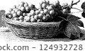 Vintage engraving of grapes in a woven basket 124932728