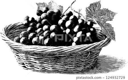 Vintage engraving of grapes in wicker basket with leaves Vintage engraving of grapes in wicker basket with leaves 124932729