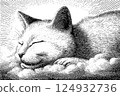 Vintage-style illustration of sleeping cat on clouds with radiant background 124932736