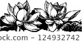 Elegant Black and White Lotus Flowers Illustration 124932742