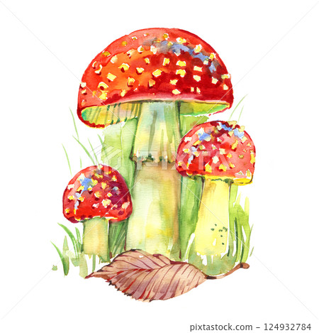 A group of charming fly agaric mushrooms with red caps and white spots, delicately painted in watercolor. Ideal for forest-themed designs, botanical illustrations, or magical fairy tale projects. 124932784