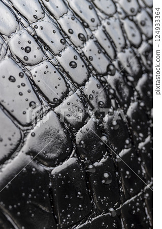 black polished leather dyed black with embossed crocodile leather covered with water droplets black polished leather dyed black with embossed crocodile leather covered with water droplets 124933364