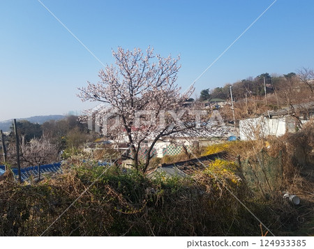 building site with house under construction 124933385