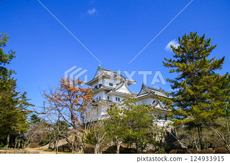 Iga Ueno Castle Iga Ueno Castle 124933915