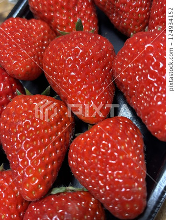 Lots of strawberries, Benihoppe 124934152