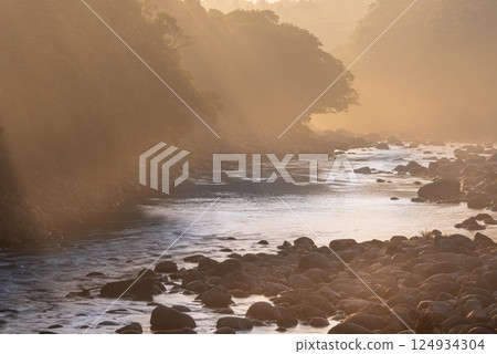 Midsummer (August) in the Yakushima Offshore Alps: River mist and Miyanoura River illuminated by the morning sun 124934304