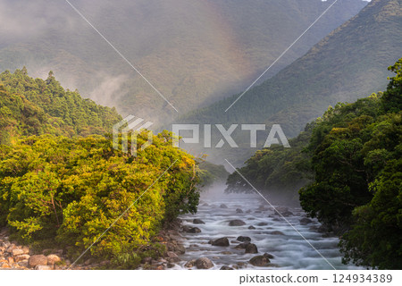 Summer river mist, Miyanoura River Valley, Yakushima, offshore Alps 124934389