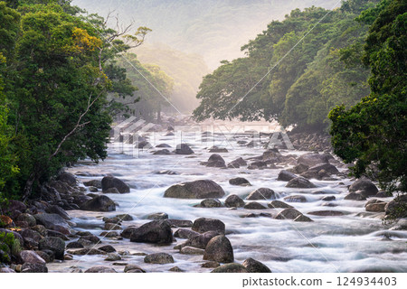 屋久島近海阿爾卑斯的盛夏（8月）：沐浴在陽光下的森林與宮之浦川 124934403