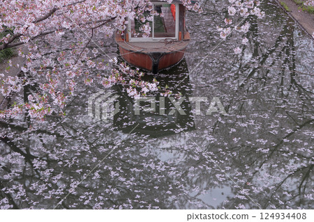 Flower rafts on the Uji River in Fushimi, Kyoto 124934408