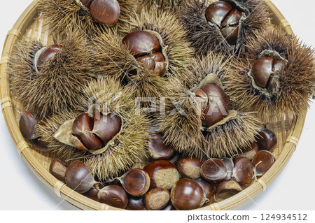 A delicious pile of chestnuts in a colander 124934512