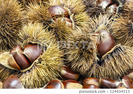 A delicious pile of chestnuts in a colander 124934513
