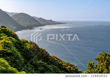 Spectacular views of the Yakushima World Natural Heritage Site (August) - Forests and ocean bathed in the midsummer sunshine 124934533