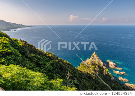 Summer forest and sea, Western forest road area, Yakushima, World Natural Heritage Site Summer forest and sea, Western forest road area, Yakushima, World Natural Heritage Site 124934534