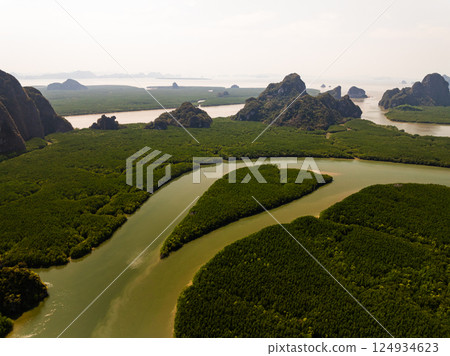 Amazing abundant mangrove forest,Aerial view of forest trees Rainforest ecosystem and healthy environment background,Texture of green trees forest top down,High angle view Amazing abundant mangrove forest,Aerial view of forest trees Rainforest ecosystem and healthy environment background,Texture of green trees forest top down,High angle view 124934623