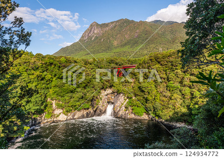 World Natural Heritage Mt. Mochomu and Toroki Falls, Yakushima (Autumn) 124934772