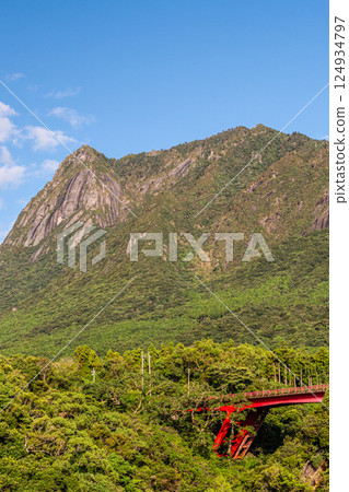 Blue sky, Mt. Mochomu, World Natural Heritage Site, Yakushima (Autumn) 124934797