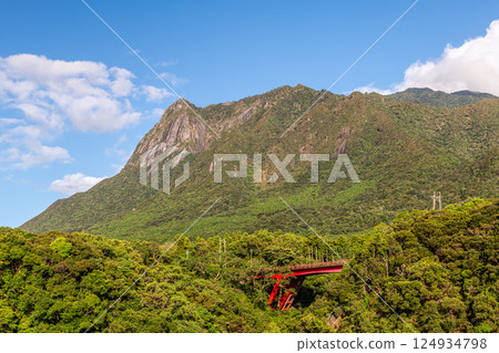 Yakushima Island, World Natural Heritage Site, Mt. Motchom (Autumn) 124934798