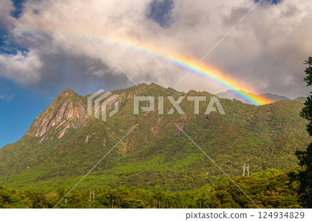 Yakushima World Natural Heritage Site: Mt. Mochomu and a Rainbow (September) 124934829