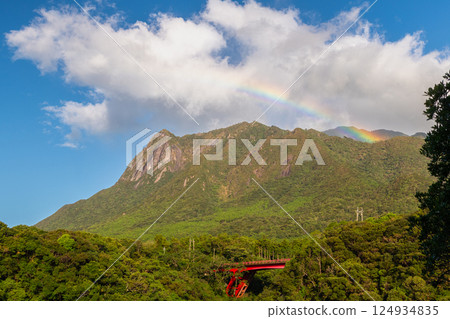 Yakushima World Natural Heritage Site: Mt. Mochomu and a Rainbow (September) 124934835