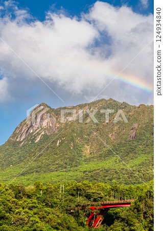 Yakushima World Natural Heritage Site: Mt. Mochomu and a Rainbow (September) Yakushima World Natural Heritage Site: Mt. Mochomu and a Rainbow (September) 124934840