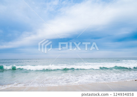 青森縣 八戶市大須賀海岸、種差海岸 124934858