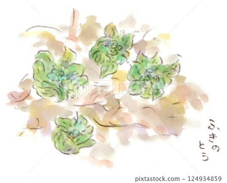 早春植物、白屈菜芽的水彩插圖 早春植物、白屈菜芽的水彩插圖 124934859