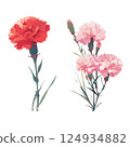 Red and pink carnations 124934882