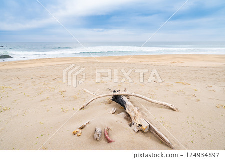 "Aomori Prefecture" Osuka Coast and Tanesashi Coast, Hachinohe City 124934897