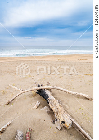 青森縣 八戶市大須賀海岸、種差海岸 青森縣 八戶市大須賀海岸、種差海岸 124934898