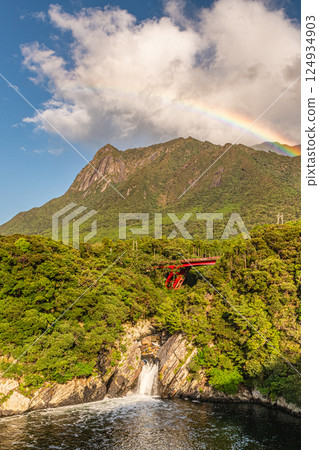 屋久島世界自然遺產：莫秋武山、鳥木瀑布、彩虹（9月） 124934903