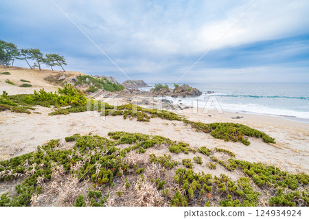 "Aomori Prefecture" Osuka Coast and Tanesashi Coast, Hachinohe City 124934924
