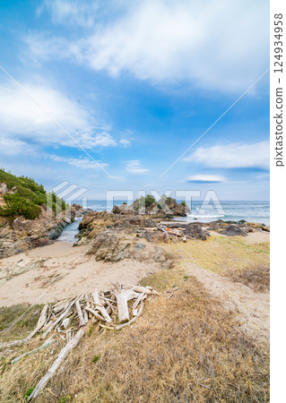 青森縣 八戶市大須賀海岸、種差海岸 青森縣 八戶市大須賀海岸、種差海岸 124934958