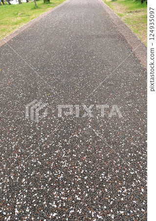 櫻花落在地上的花瓣 124935097