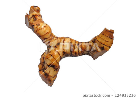 Close up of galangal root 124935236