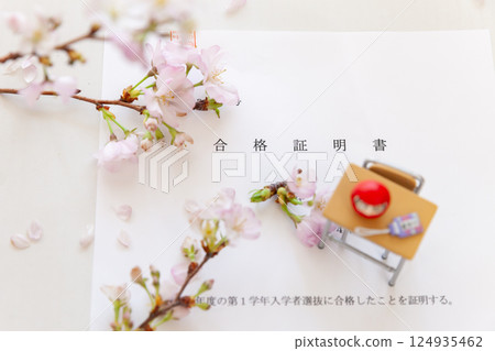 Image of entrance exam: certificate of passing the entrance exam, fresh cherry blossoms, school desk and miniature Daruma doll Image of entrance exam: certificate of passing the entrance exam, fresh cherry blossoms, school desk and miniature Daruma doll 124935462
