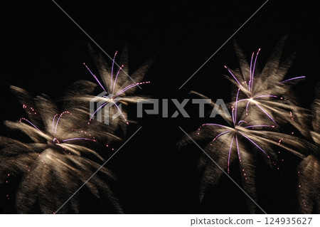 Fireworks Festival Itami Fireworks Kansai Hyogo Prefecture 124935627