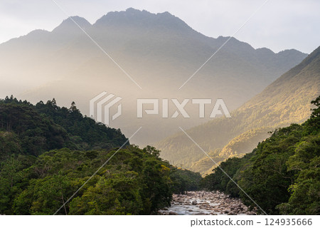 Spectacular views of the Yakushima Offshore Alps (November) - Mountains lit up in the autumn light 124935666